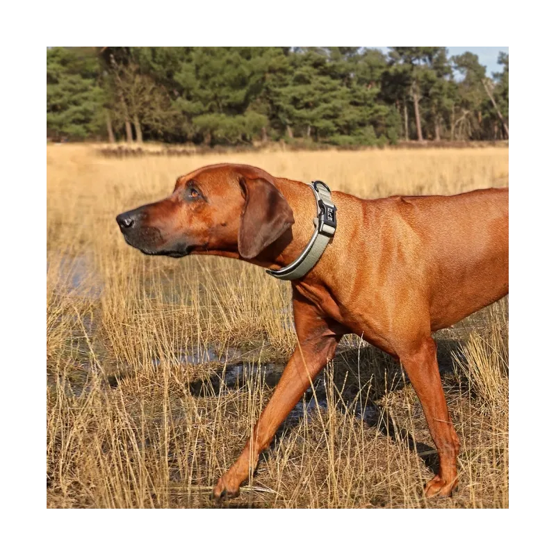 Halsbänder Duvoplus EXPLOR Ultimate Fit Comfy Halsband Classic -...