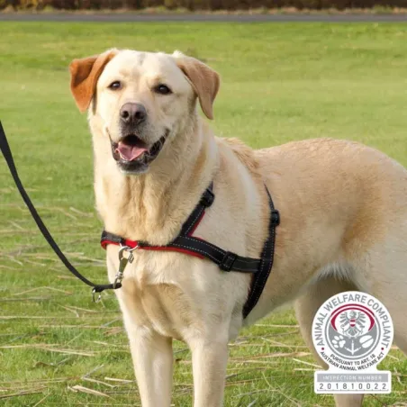 Halsbänder & Leinen Trixie Trainingsgeschirr Lead'n'Walk Soft -...
