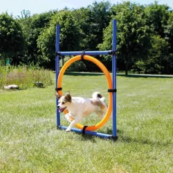 Hundespielzeug & Sport Trixie Agility Ring jetzt online