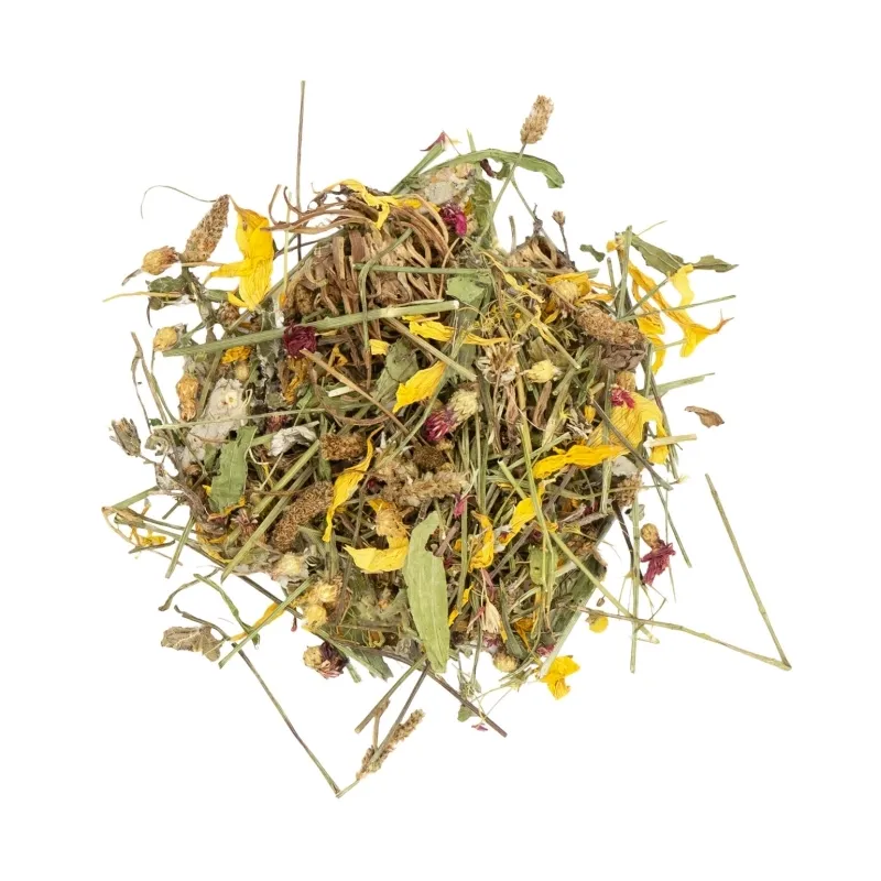 Kleintierfutter & Snacks JR Farm Blüten-Traum im Eimer 380g jetzt...