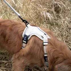 Halsbänder & Leinen Duvoplus EXPLOR Ultimate Fit No-Pull-Geschirr...