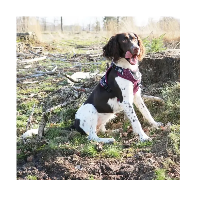 Halsbänder & Leinen Duvoplus EXPLOR Ultimate Fit No-Pull-Geschirr...