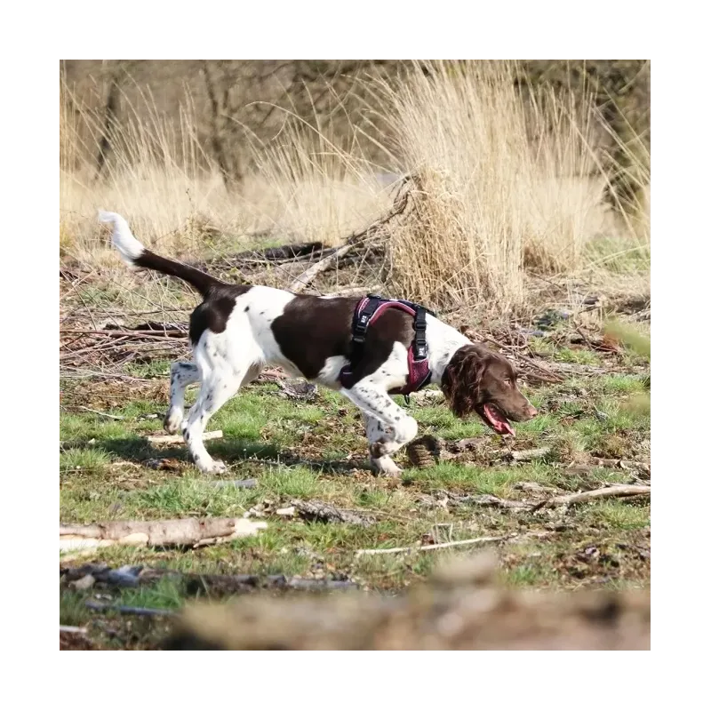 Halsbänder & Leinen Duvoplus EXPLOR Ultimate Fit No-Pull-Geschirr...