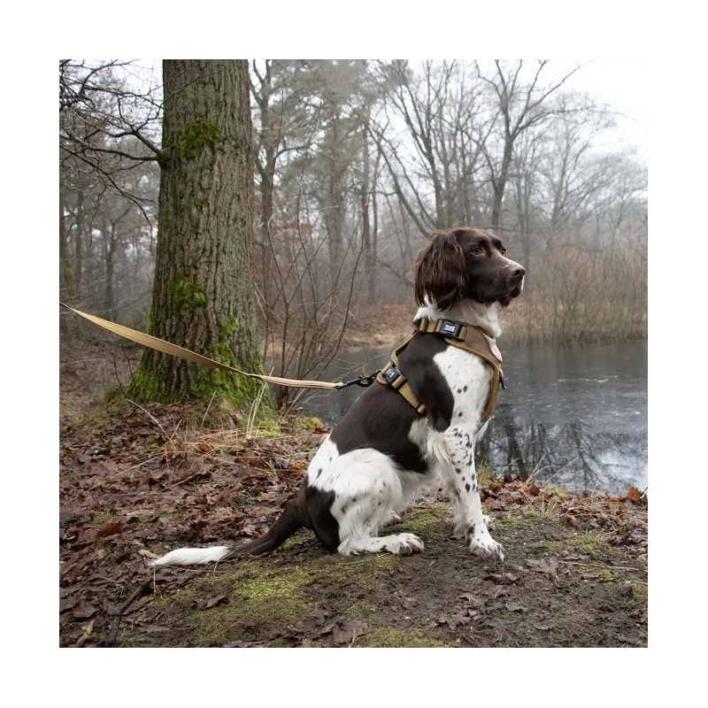 Halsbänder & Leinen Duvoplus EXPLOR Ultimate Fit No-Pull-Geschirr...