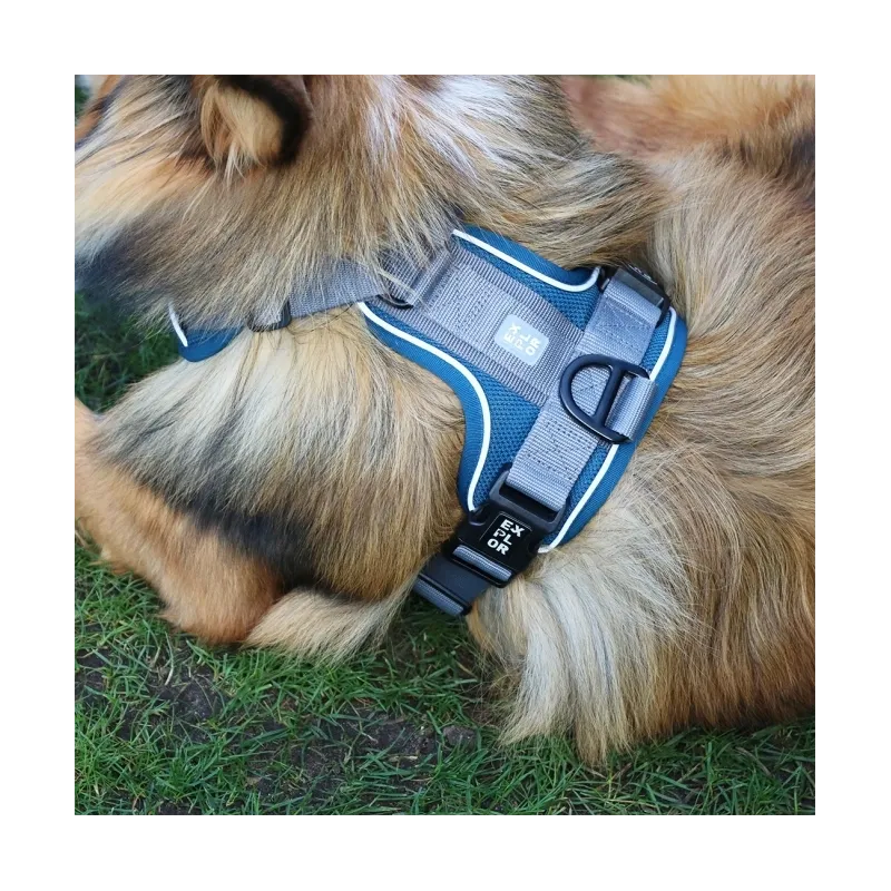 Halsbänder & Leinen Duvoplus EXPLOR Ultimate Fit No-Pull-Geschirr...