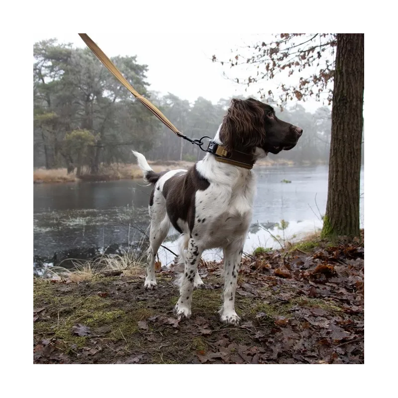 Halsbänder Duvoplus EXPLOR Ultimate Fit Control Halsband Classic -...