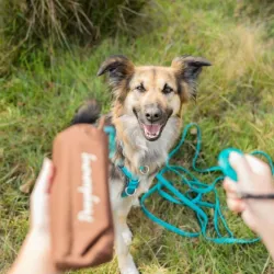 Unterwegs Trixie Preydummy - Canvas, Braun - 6 x 14 cm jetzt online