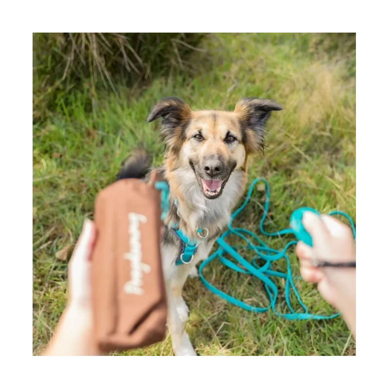 Unterwegs Trixie Preydummy - Canvas, Braun - 6 x 14 cm jetzt online