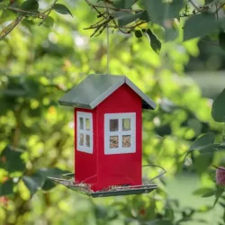 Vogelwelt Trixie Futterhaus - rot jetzt online