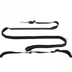 Reise & Transport Trixie Jogginggurt mit Leine jetzt online