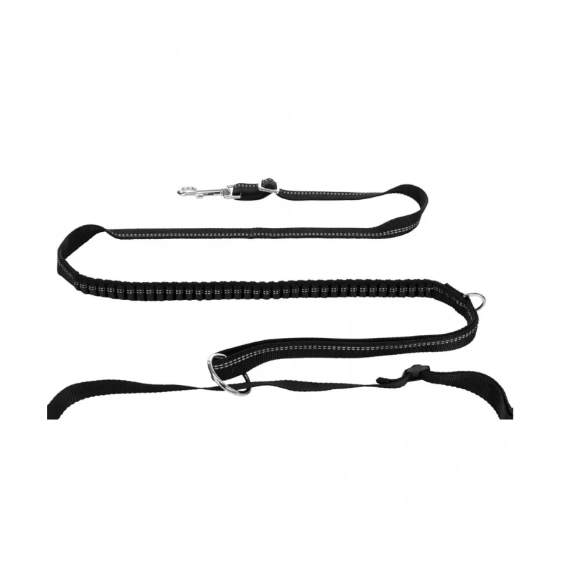 Reise & Transport Trixie Jogginggurt mit Leine jetzt online