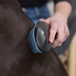Fellpflege Trixie Softbürste - schwarz/blau jetzt online