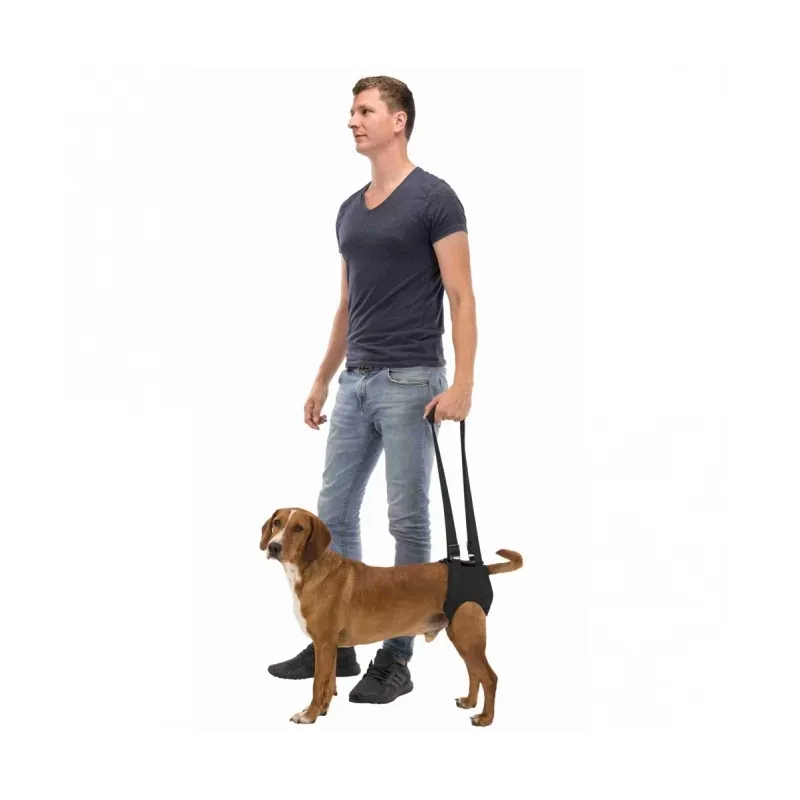 Pflege & Gesundheit Trixie Gehhilfe - M jetzt online