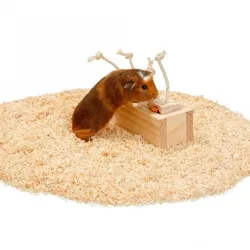 Ausstattung & Zubehör Karlie Rody Brain Train Cube mit 4 Klötzen...