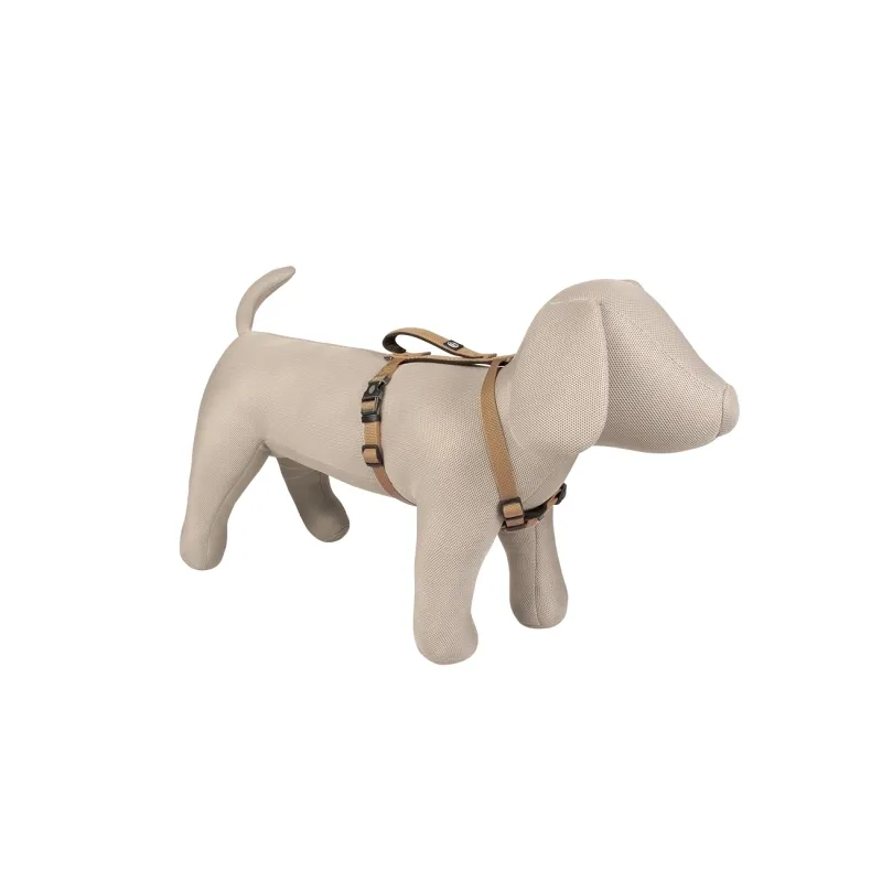 Halsbänder & Leinen Duvoplus EXPLOR North Geschirr - Taupe -...