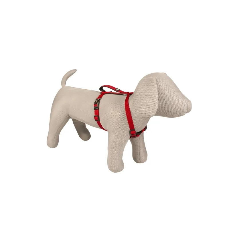 Halsbänder & Leinen Duvoplus EXPLOR North Geschirr - Rot -...