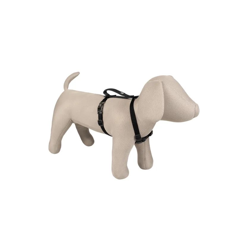 Halsbänder & Leinen Duvoplus EXPLOR North Geschirr - Schwarz -...