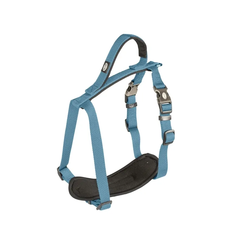 Halsbänder & Leinen Duvoplus EXPLOR North Geschirr - Petrolblau -...