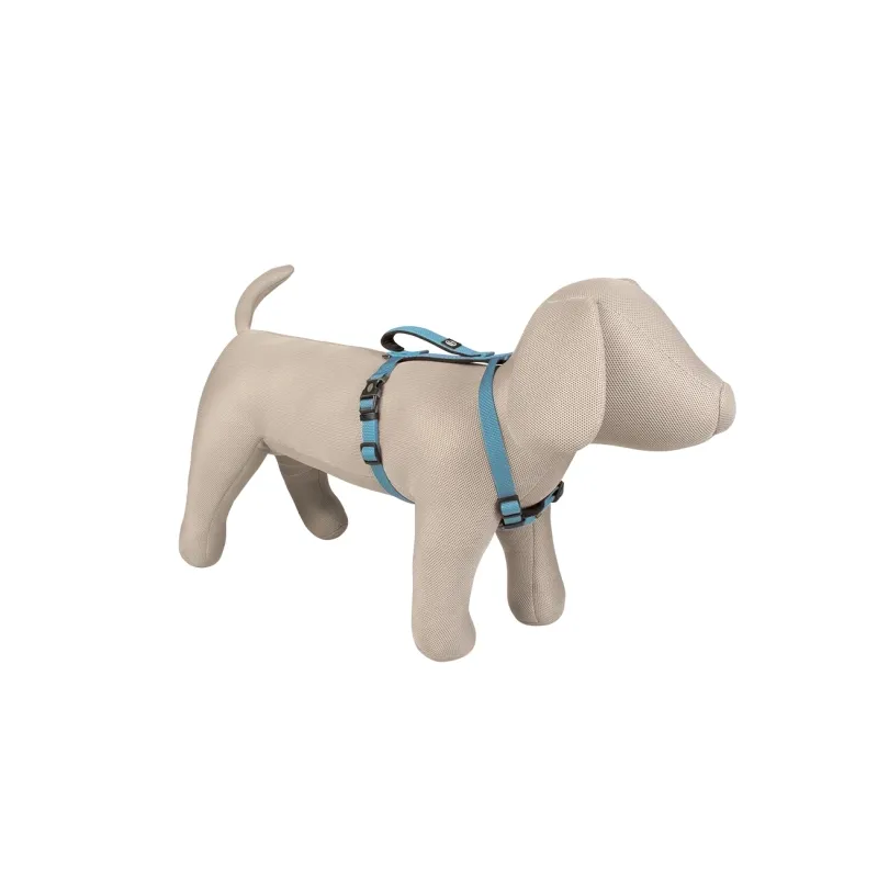 Halsbänder & Leinen Duvoplus EXPLOR North Geschirr - Petrolblau -...