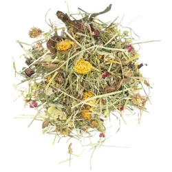 Kleintierfutter & Snacks JR Farm Vital-Mix im Eimer 430g jetzt online