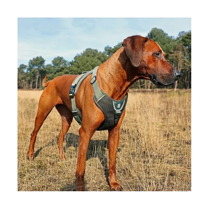 Halsbänder & Leinen Duvoplus EXPLOR Ultimate Fit No-Pull-Geschirr...