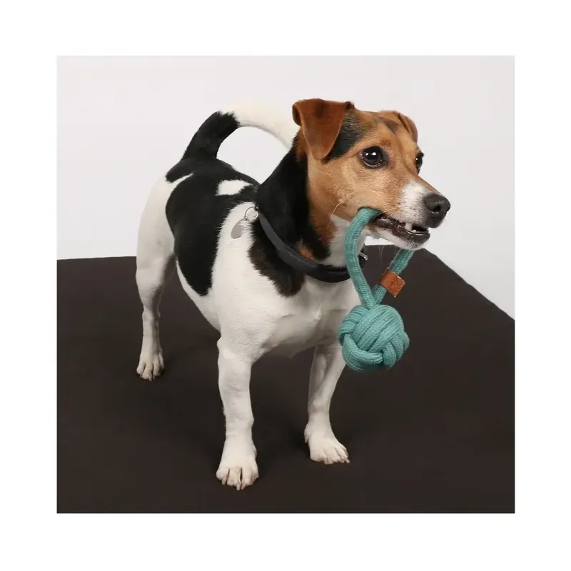 Hundespielzeug & Sport D&D Knotenball mit Schlaufe Harper - blau -...