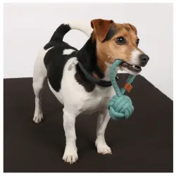 Hundespielzeug & Sport D&D Knotenball mit Schlaufe Harper - blau -...