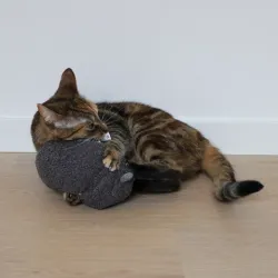 Katzenspielzeug D&D Tretkissen Molly - L - 13 x 14 x 27cm jetzt online