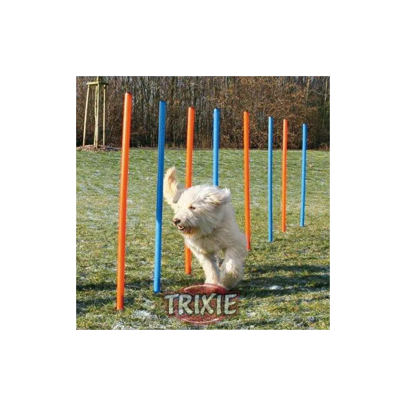 Hundespielzeug & Sport Trixie Agility Slalom jetzt online