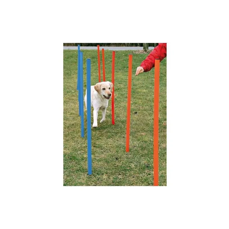 Hundespielzeug & Sport Trixie Agility Slalom jetzt online