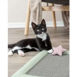Kratzbäume & -möbel Trixie Junior Kratzmatte - 47 × 47 cm jetzt online