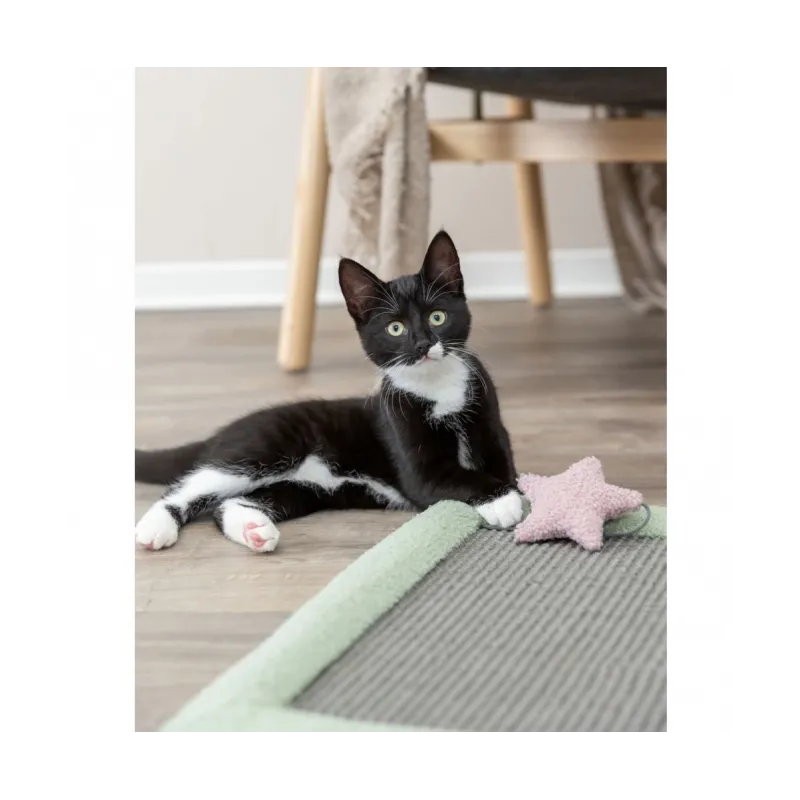 Kratzbäume & -möbel Trixie Junior Kratzmatte - 47 × 47 cm jetzt online