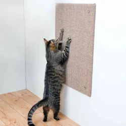 Kratzbäume & -möbel Trixie Kratzbrett XXL - 50 × 70 cm jetzt online