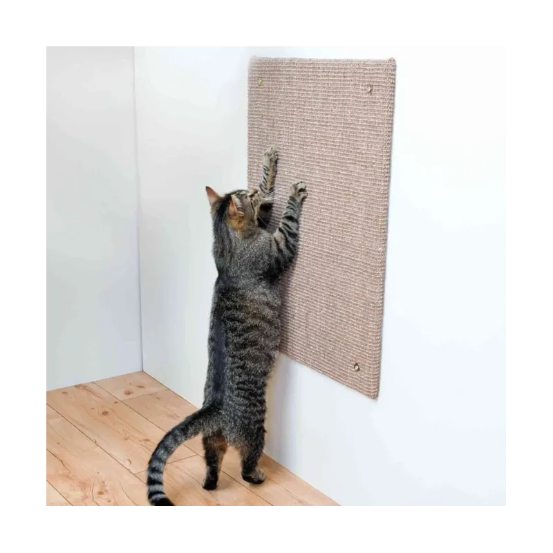 Kratzbäume & -möbel Trixie Kratzbrett XXL - 50 × 70 cm jetzt online