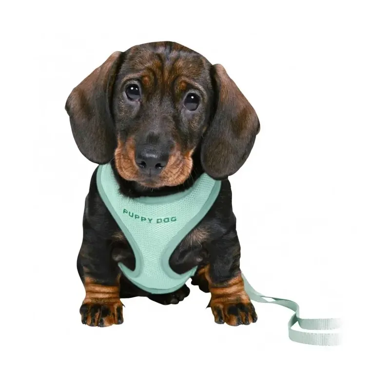 Halsbänder & Leinen Trixie Junior Welpen-Softgeschirr mit Leine -...