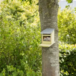 Vogelwelt Trixie Futterstation für Eichhörnchen jetzt online