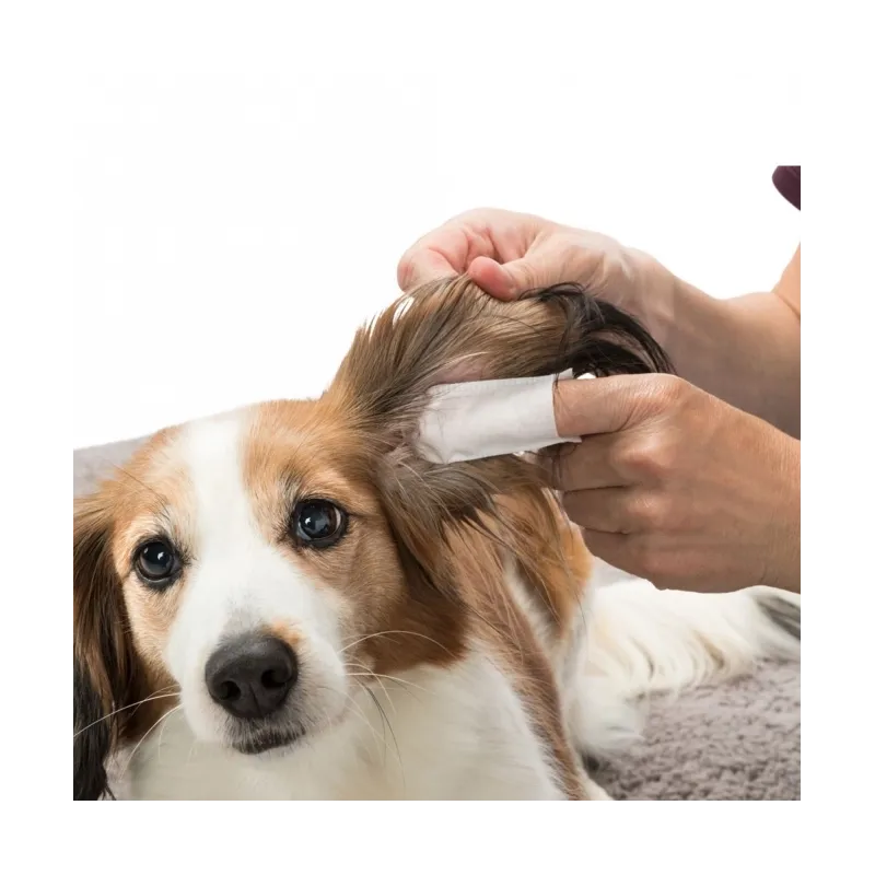 Pflege & Gesundheit Trixie Ohrenpflege Einweg-Fingerpads jetzt online