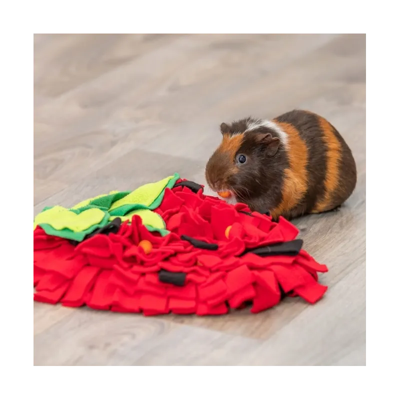 Ausstattung & Zubehör Trixie Schnüffelteppich Erdbeere für...