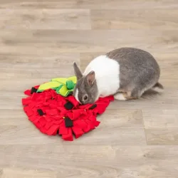 Ausstattung & Zubehör Trixie Schnüffelteppich Erdbeere für...