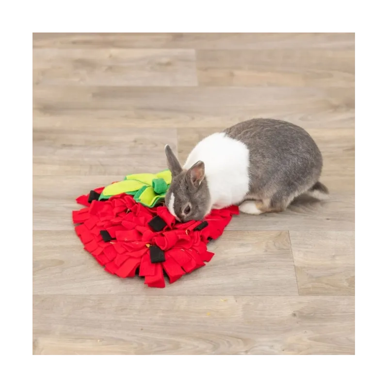 Ausstattung & Zubehör Trixie Schnüffelteppich Erdbeere für...