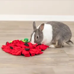 Ausstattung & Zubehör Trixie Schnüffelteppich Erdbeere für...