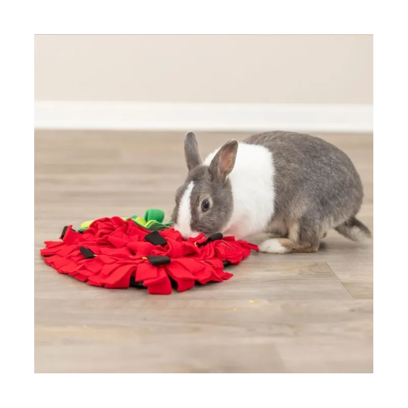 Ausstattung & Zubehör Trixie Schnüffelteppich Erdbeere für...