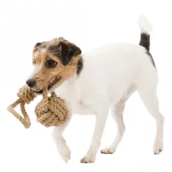 Hundespielzeug & Sport Trixie BE NORDIC Spieltau mit...
