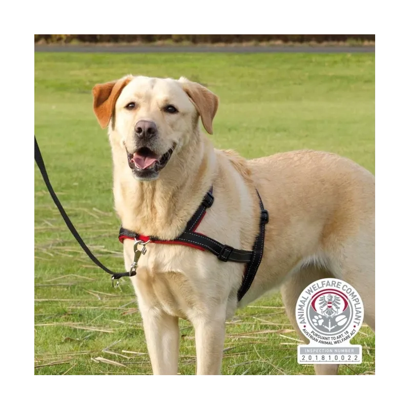 Halsbänder & Leinen Trixie Trainingsgeschirr Lead'n'Walk Soft -...