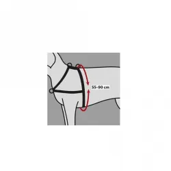 Halsbänder & Leinen Trixie Trainingsgeschirr Lead'n'Walk Soft -...