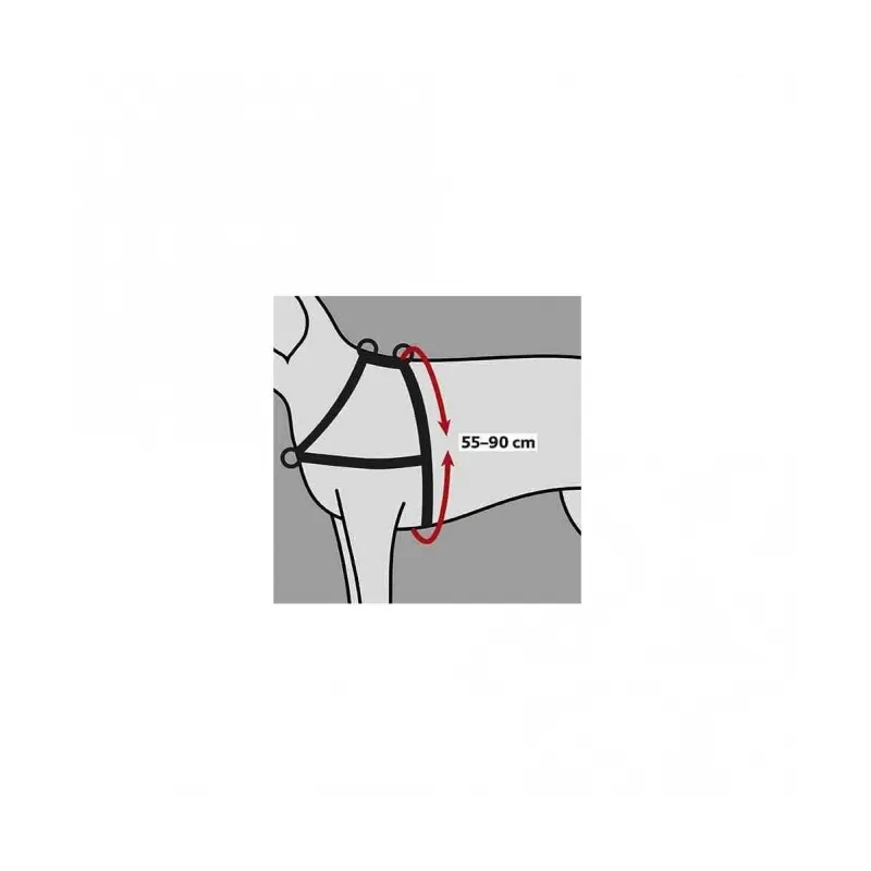 Halsbänder & Leinen Trixie Trainingsgeschirr Lead'n'Walk Soft -...