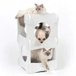 Katzenbetten & Katzenkörbe Vesper Katzenhaus Condo - Weiß jetzt online