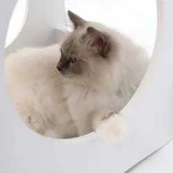Katzenbetten & Katzenkörbe Vesper Katzenhaus Condo - Weiß jetzt online
