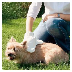 Pflege & Gesundheit Trixie Fellpflege-Handschuh jetzt online