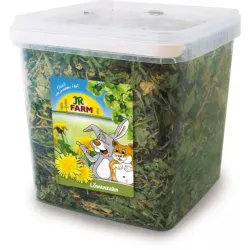Kleintierfutter & Snacks JR Farm Löwenzahn im Eimer - 400g jetzt...